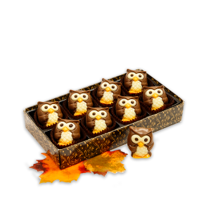 Belgian Chocolate Owls